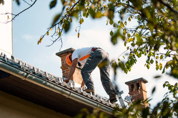 Steel Roofing in Veneta, OR