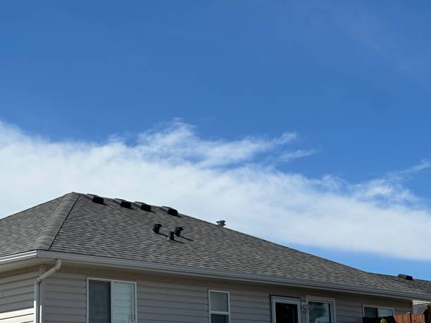Best Green or Eco-Friendly Roofing Solutions  in Veneta, OR